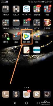 手机片段在线视频