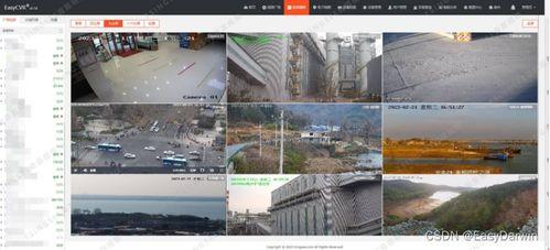 国标综合在线视频观看,综合分析与应用展望