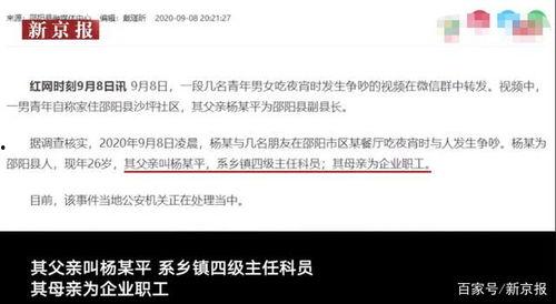 主任科员在线视频,揭秘公务员日常与工作技巧