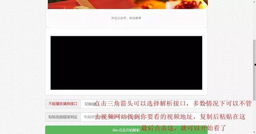 福利vip内部在线视频,福利视频内容深度解析