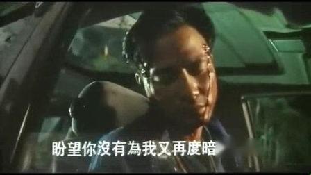 蜜虎在线视频观看,探索自然奇观，感受生命魅力