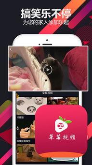 泥酔在线视频,揭秘传统酒文化魅力之旅