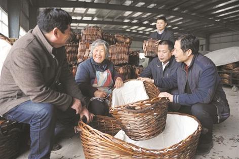 亚洲综合网成人在线视频,成人在线视频的隐秘世界