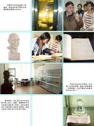 中文在线视频3区