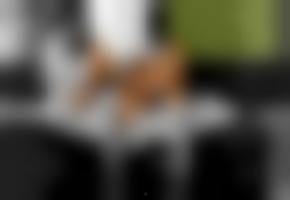 秦先生在线视频7,揭秘神秘事件背后的真相