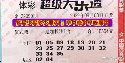 大乐透拼搏在线视频播放,揭秘彩民奋斗之路