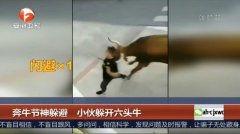 成人牛牛热在线视频,揭秘激情四溢的娱乐盛宴