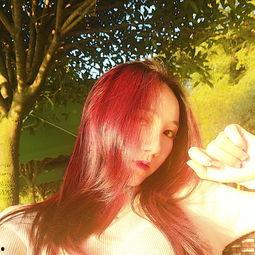 草草爱在线视频免费,免费畅享的视觉盛宴