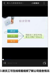 员工在线视频更新,技能提升与团队协作新篇章  第1张