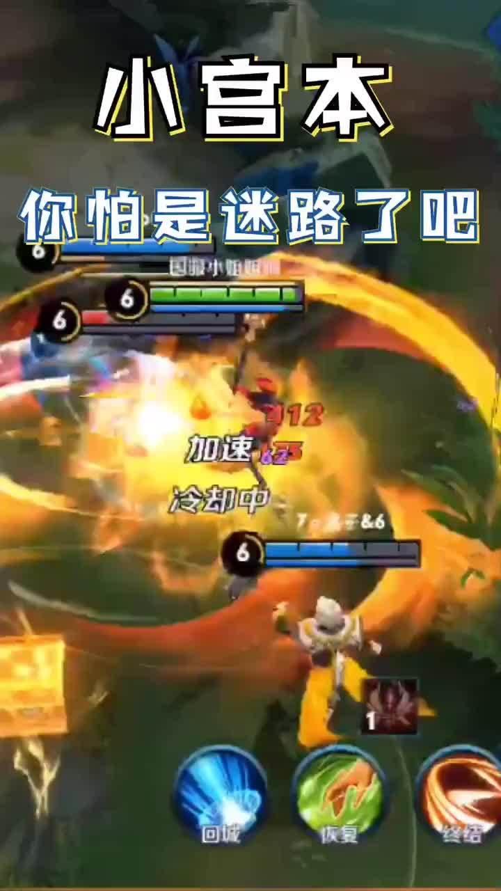 从宫本到你在线视频播放,从传奇剑客到在线视频播放的传承之路  第3张