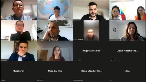 波哥大在线视频播放  第1张