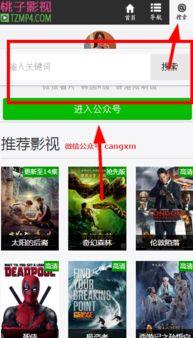 在线视频你懂得播放,热门播放背后的秘密解析  第3张