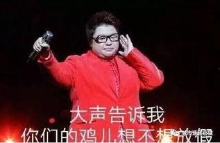 鸡不放假在线视频,揭秘农场鸡的24小时工作日常 第3张 鸡不放假在线视频,揭秘农场鸡的24小时工作日常 第3张